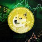 Was passiert, wenn du dein gesamtes Erspartes in Dogecoin steckst?