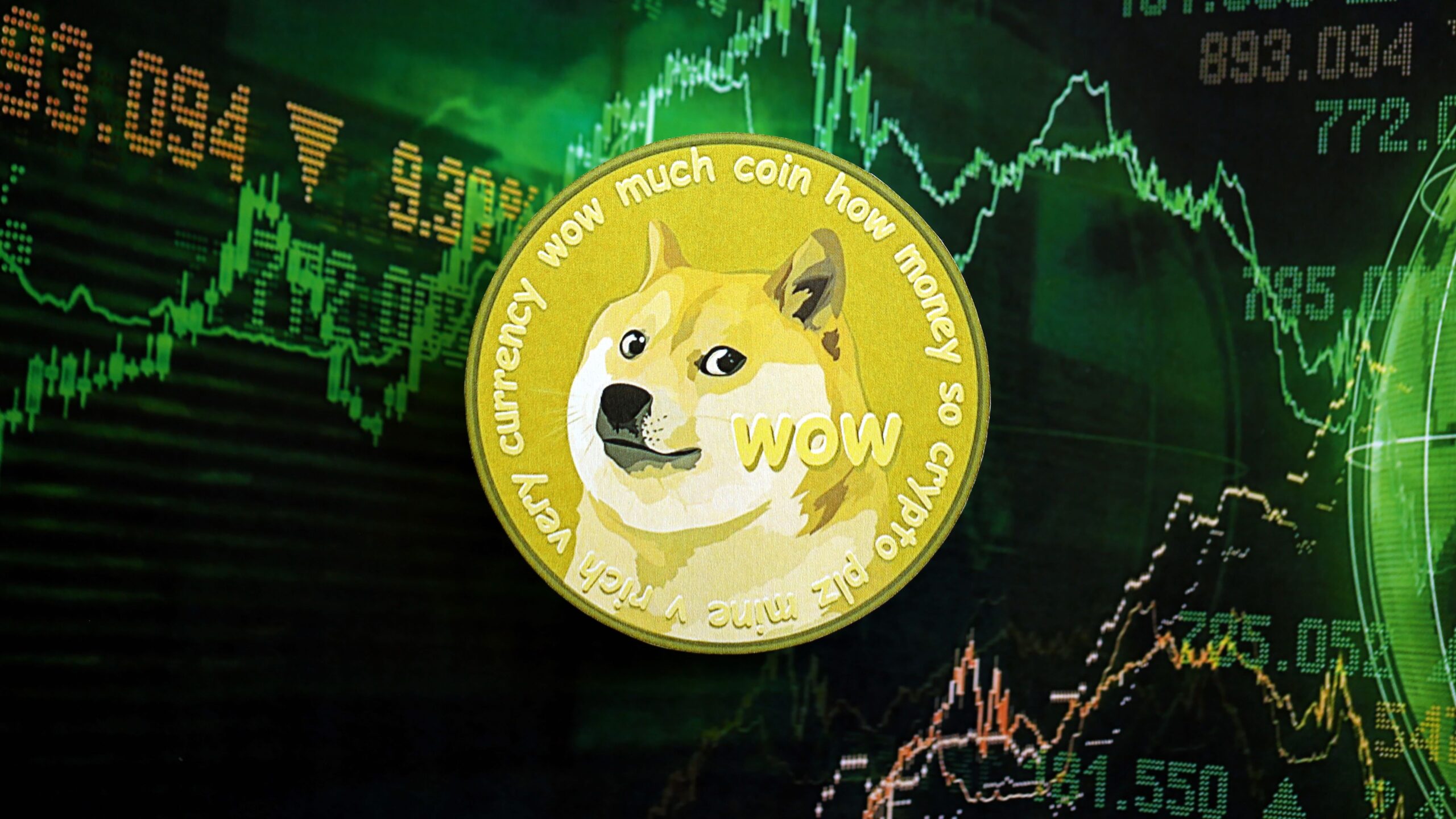 Was passiert, wenn du dein gesamtes Erspartes in Dogecoin steckst?
